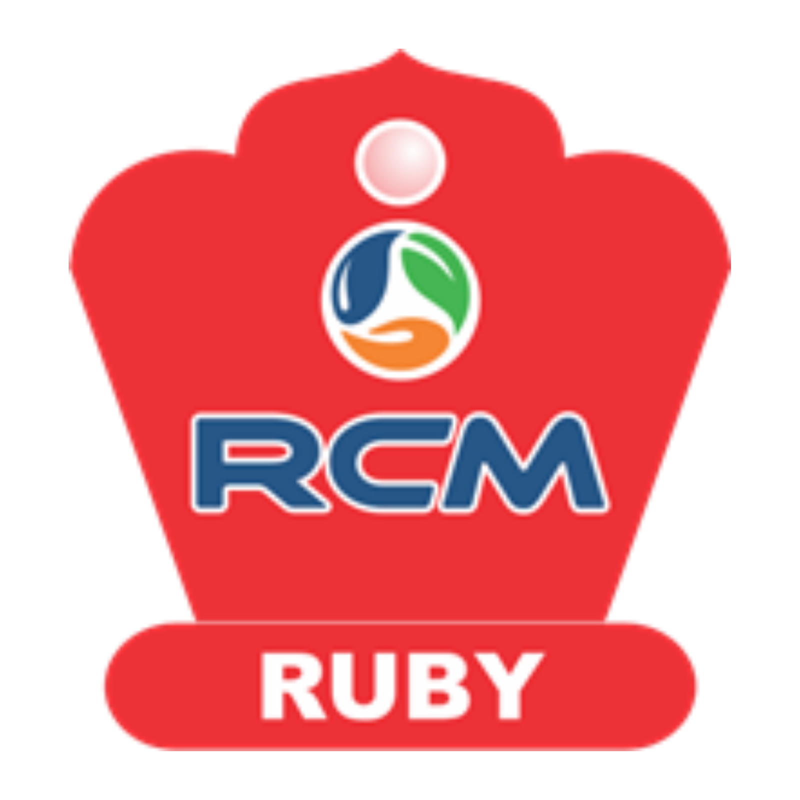 RUBY PIN Logo