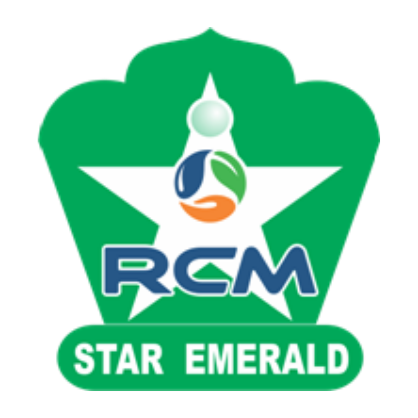 STAR EMERALD PIN Logo