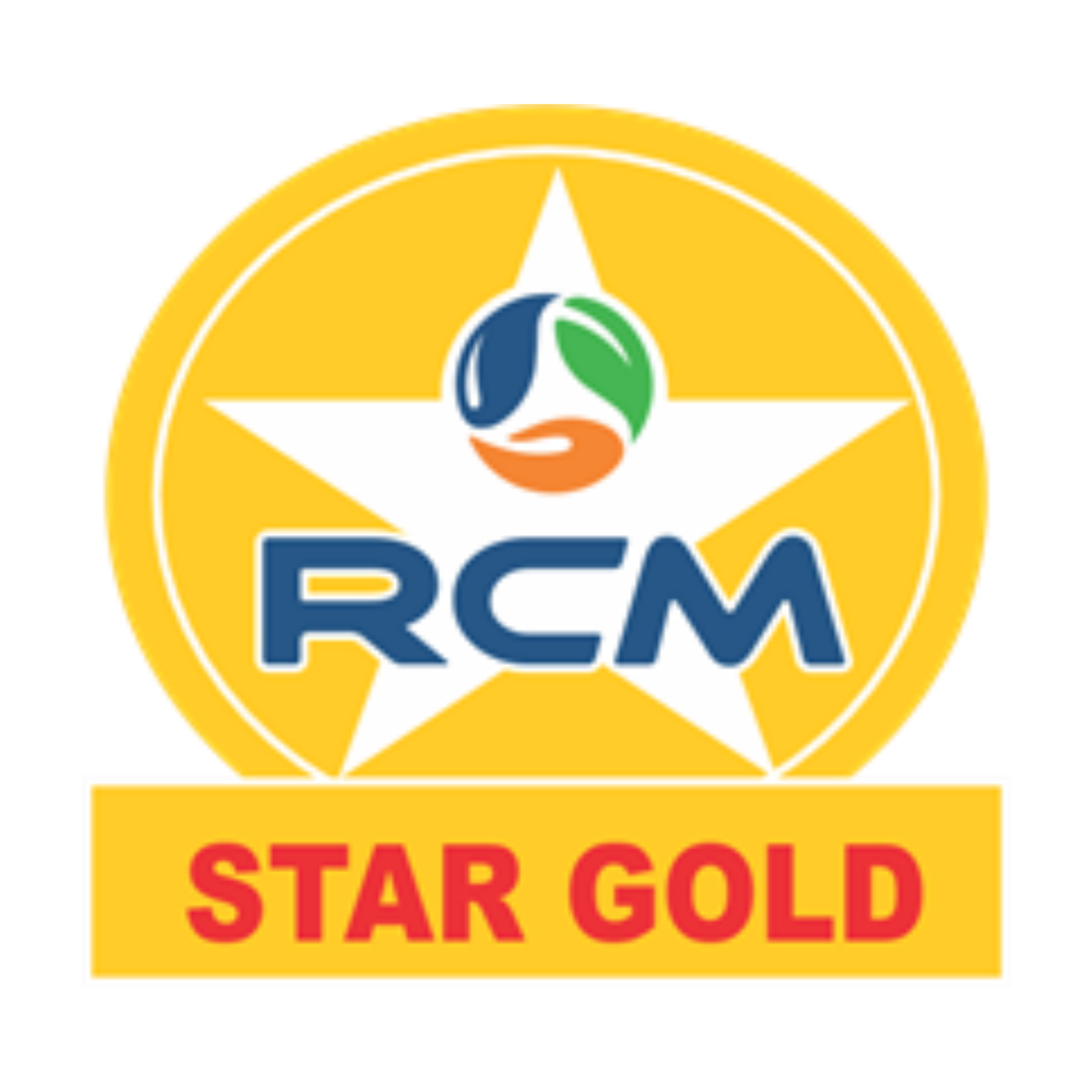 STAR GOLD PIN Logo