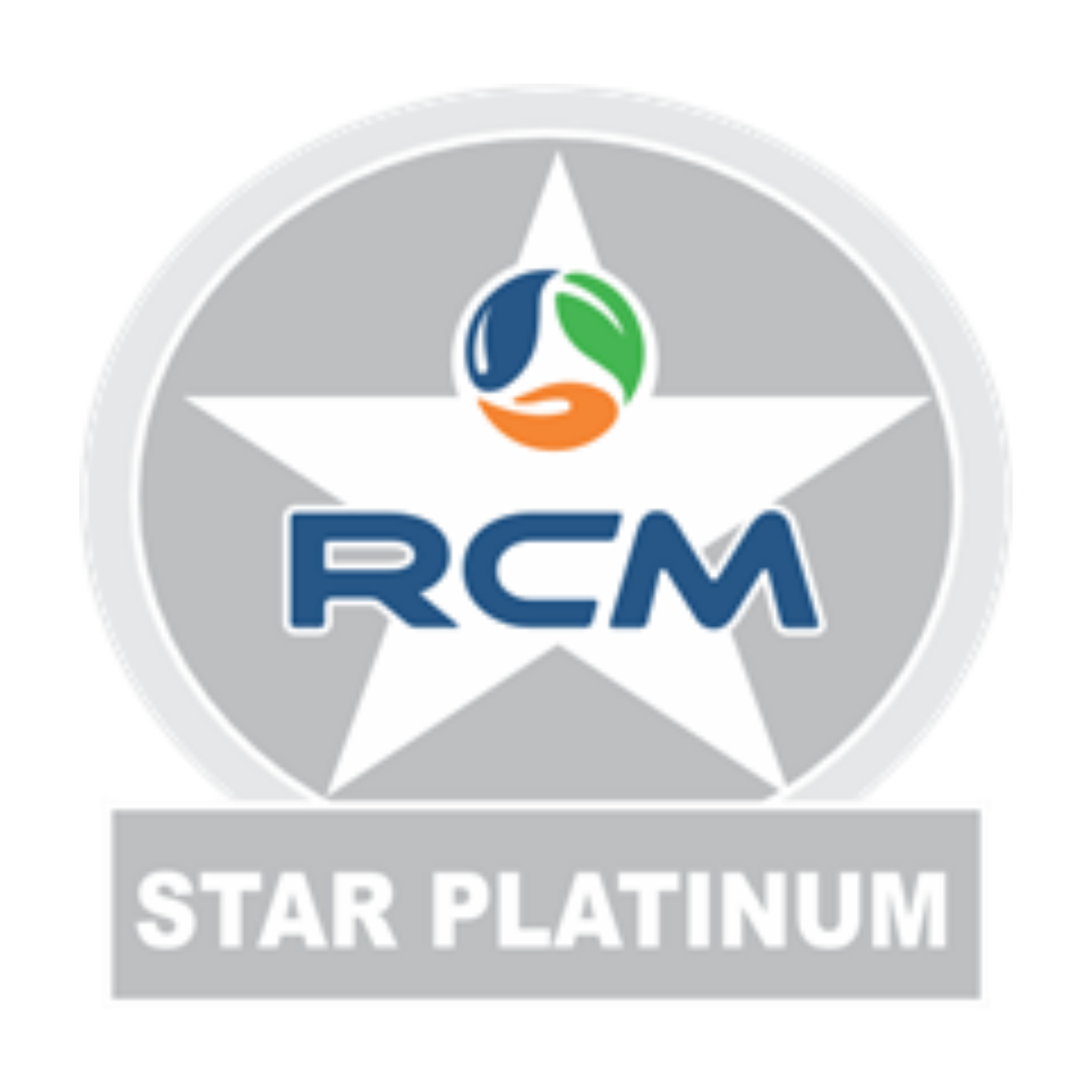 STAR PLATINUM PIN Logo