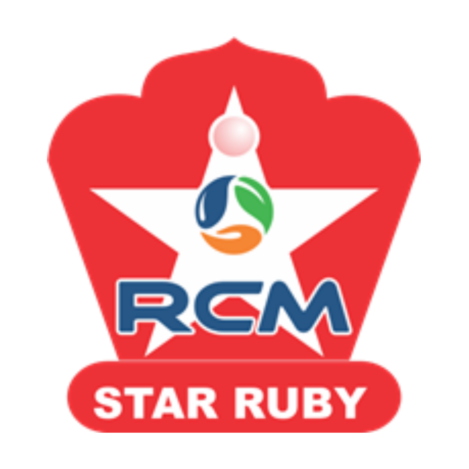 STAR RUBY PIN Logo